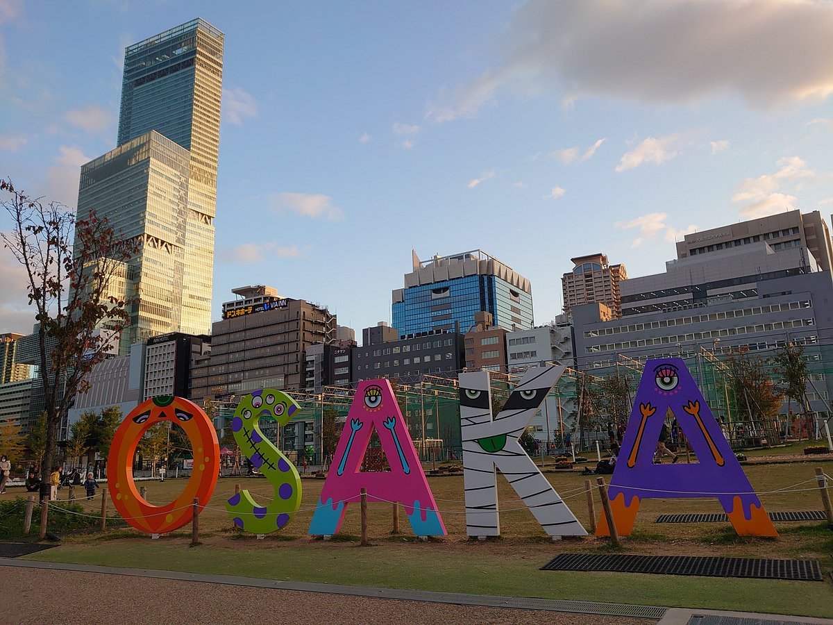 🌳 덴노지 잔디밭 (텐시바) 이미지 7